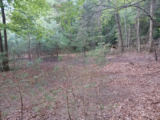 $499,000 | 12323 Lincoln Farms Drive, West Olive, MI 49460