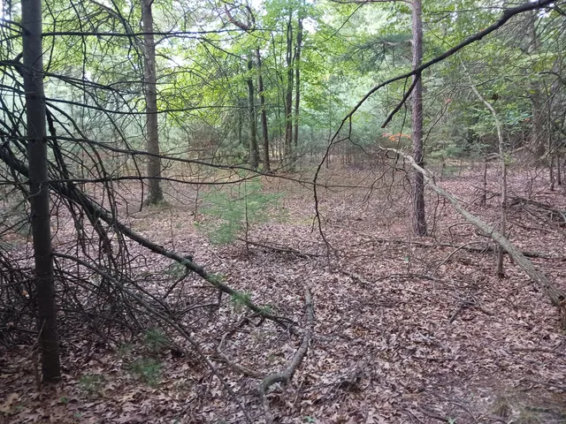 $499,000 | 12323 Lincoln Farms Drive, West Olive, MI 49460