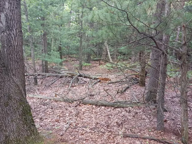 $499,000 | 12323 Lincoln Farms Drive, West Olive, MI 49460