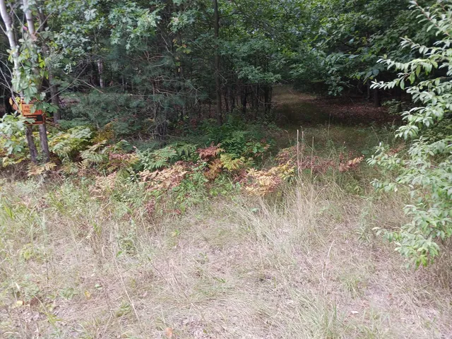 $499,000 | 12323 Lincoln Farms Drive, West Olive, MI 49460