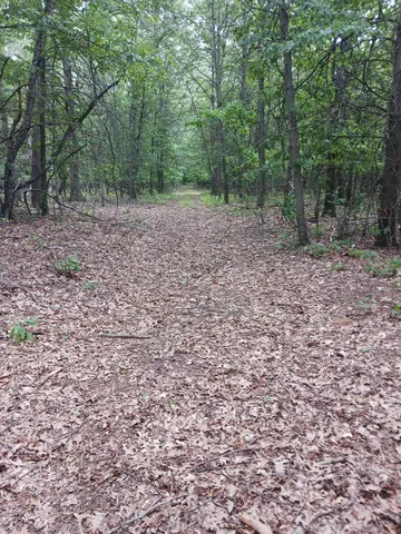 $499,000 | 12323 Lincoln Farms Drive, West Olive, MI 49460