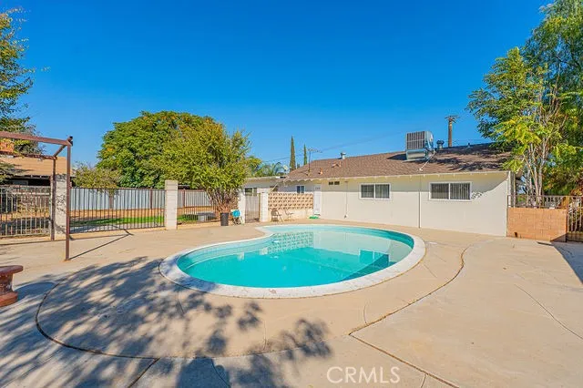 a living room with furniture potted plant and a window