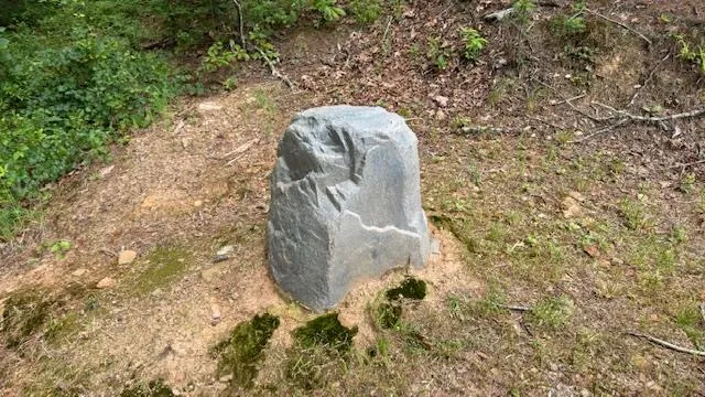 a kitchen with refrigerator and window