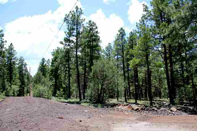 24 T9n R22e Lakeside, AZ 85929 - Photo 1 of 5 a view of outdoor space with trees