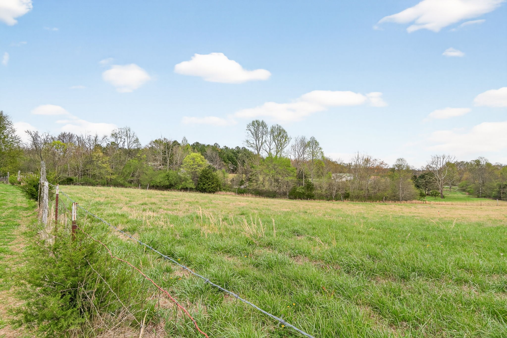 680 Luna Road Sparta, TN 38583 - Photo 19 of 28