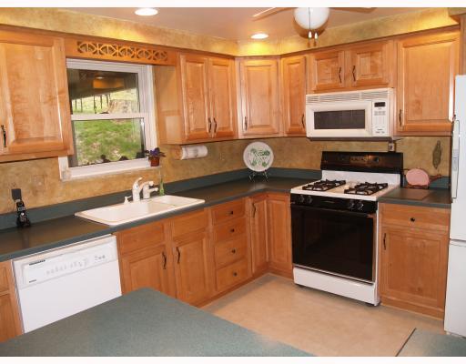 3123 Kane Road Aliquippa, PA 15001 - Photo 3 of 18 Kitchen.