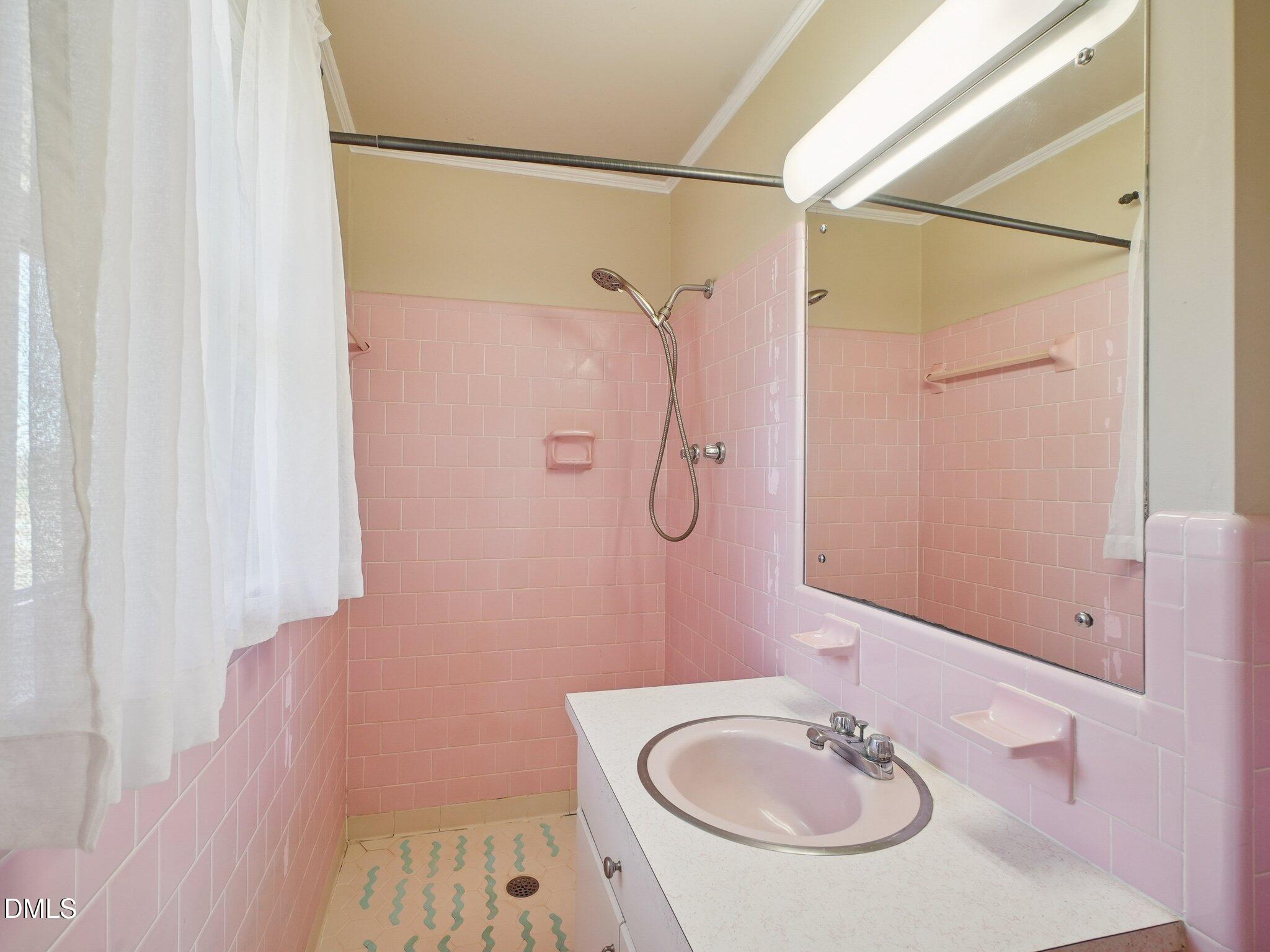 5474 Deans Road Battleboro, NC 27809 - Photo 20 of 32 a bathroom with a sink a mirror and a shower