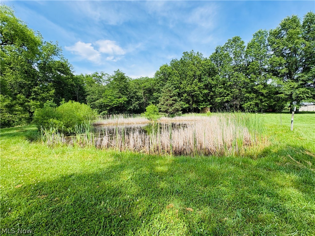 8591 Crow Road Litchfield, OH 44253 - Photo 26 of 30
