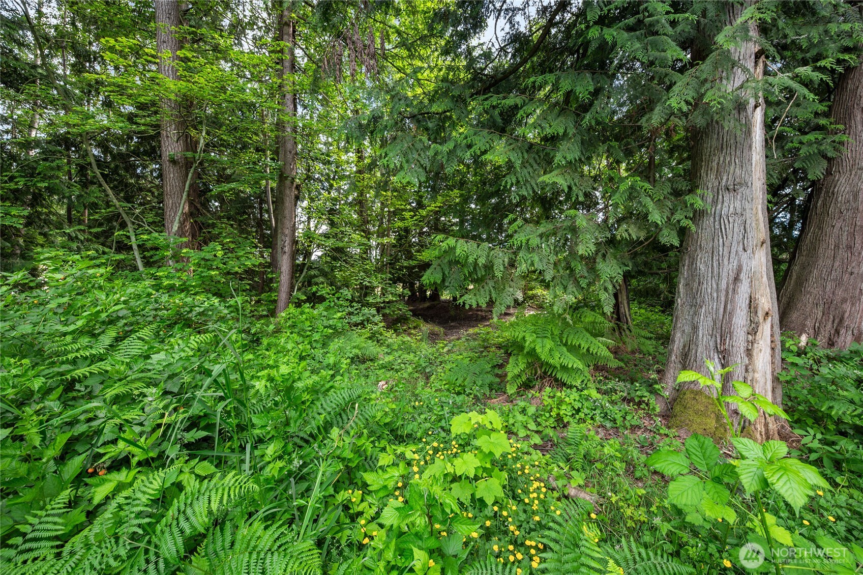 3233 Loomis Trail Road Custer, WA 98240 - Photo 27 of 35