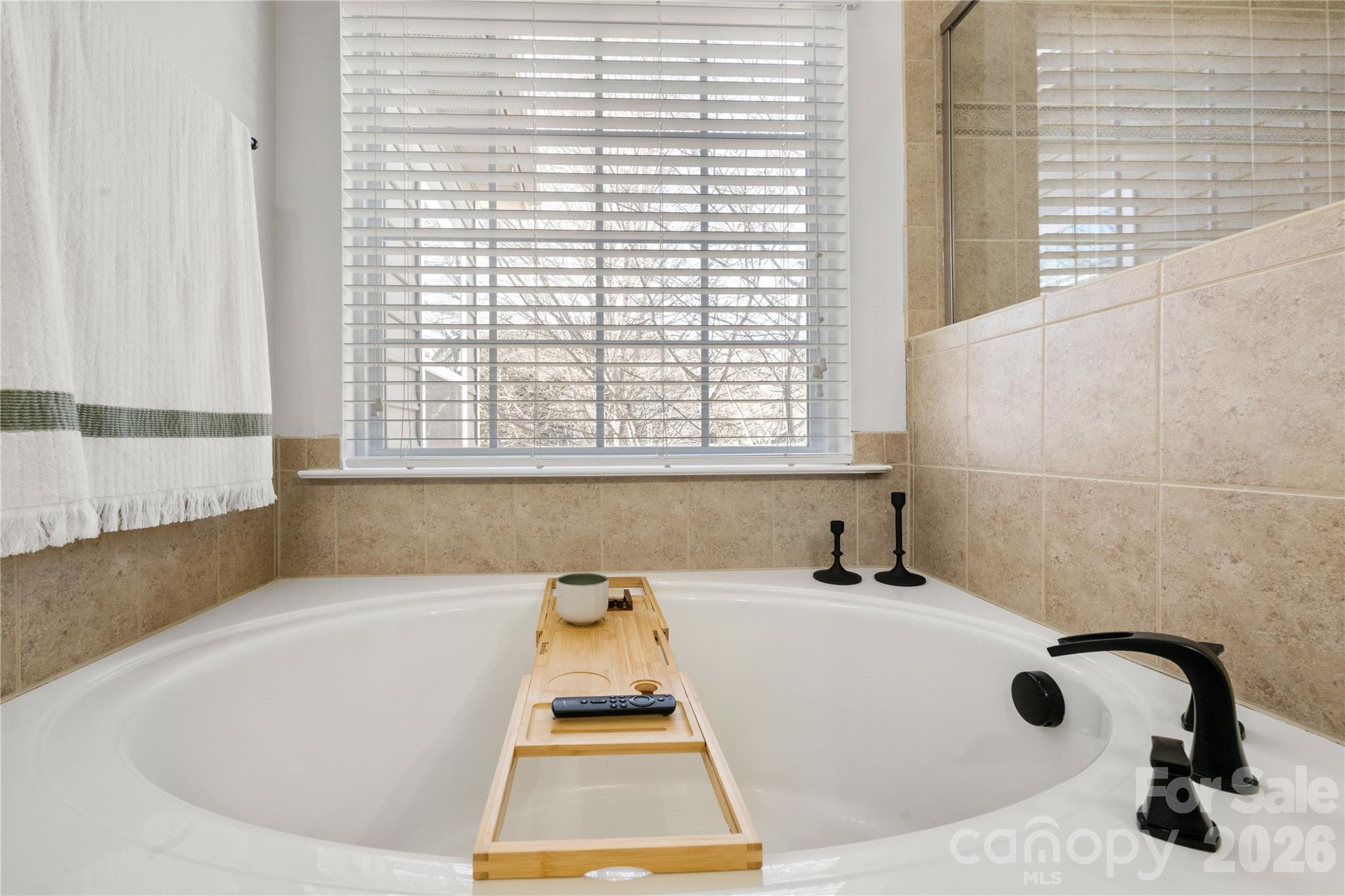 1861 Felts Parkway Fort Mill, SC 29715 - Photo 36 of 48