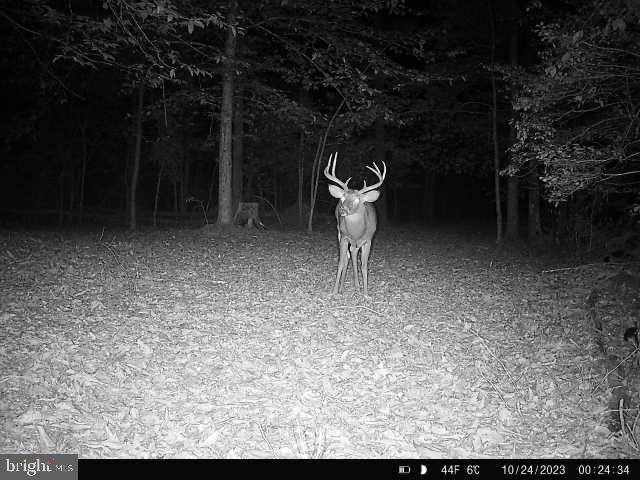 2555 Hancock Run Road Nanjemoy, MD 20662 - Photo 11 of 24 a view of a yard