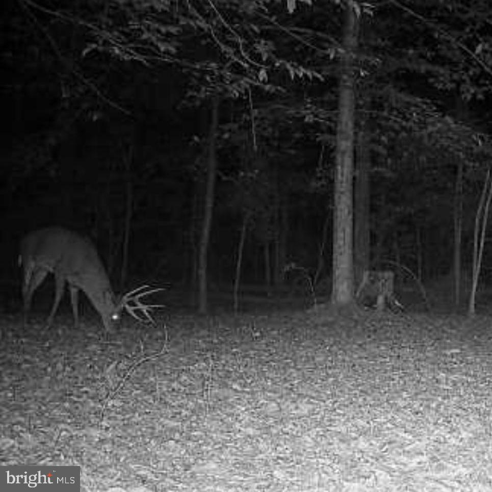 2555 Hancock Run Road Nanjemoy, MD 20662 - Photo 15 of 24 a backyard of a house