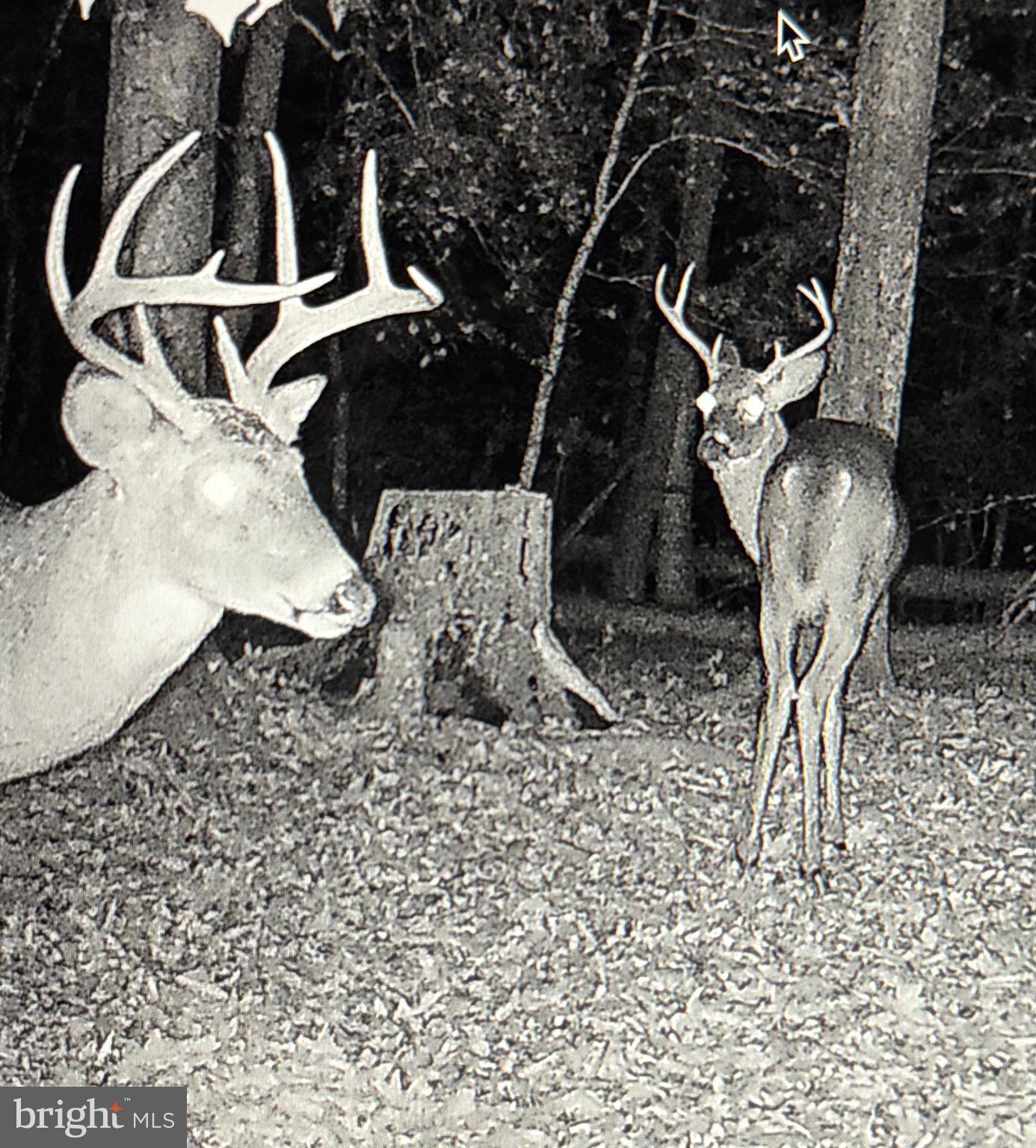 2555 Hancock Run Road Nanjemoy, MD 20662 - Photo 18 of 24 a view of entryway