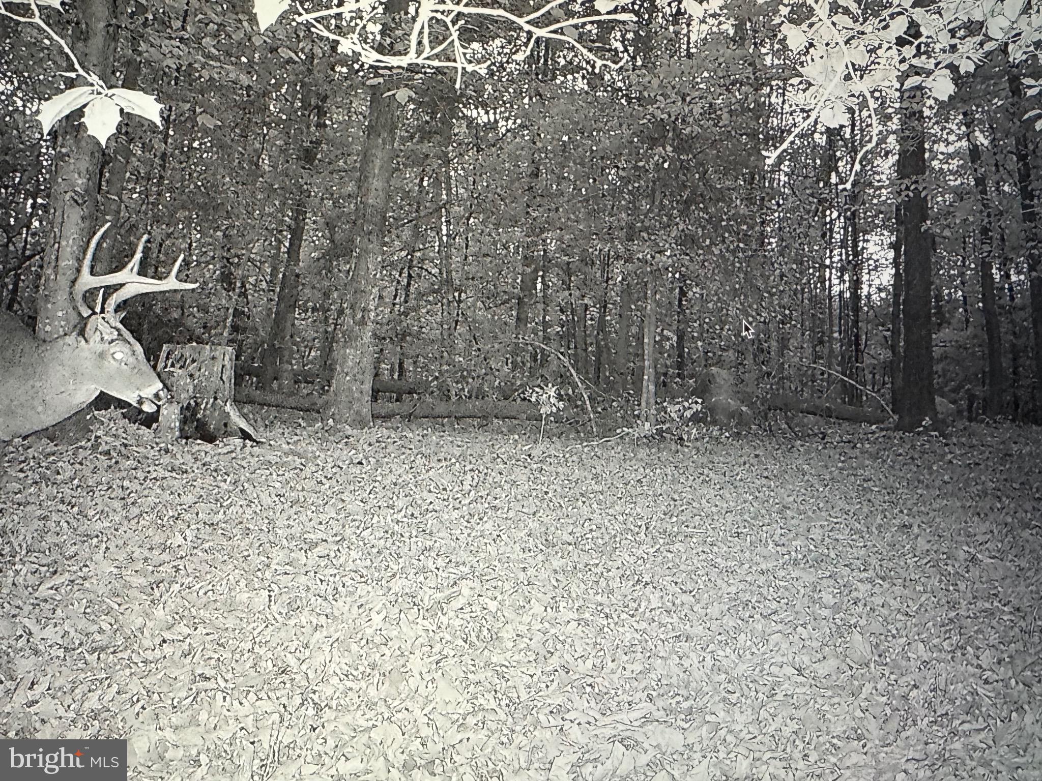 2555 Hancock Run Road Nanjemoy, MD 20662 - Photo 20 of 24