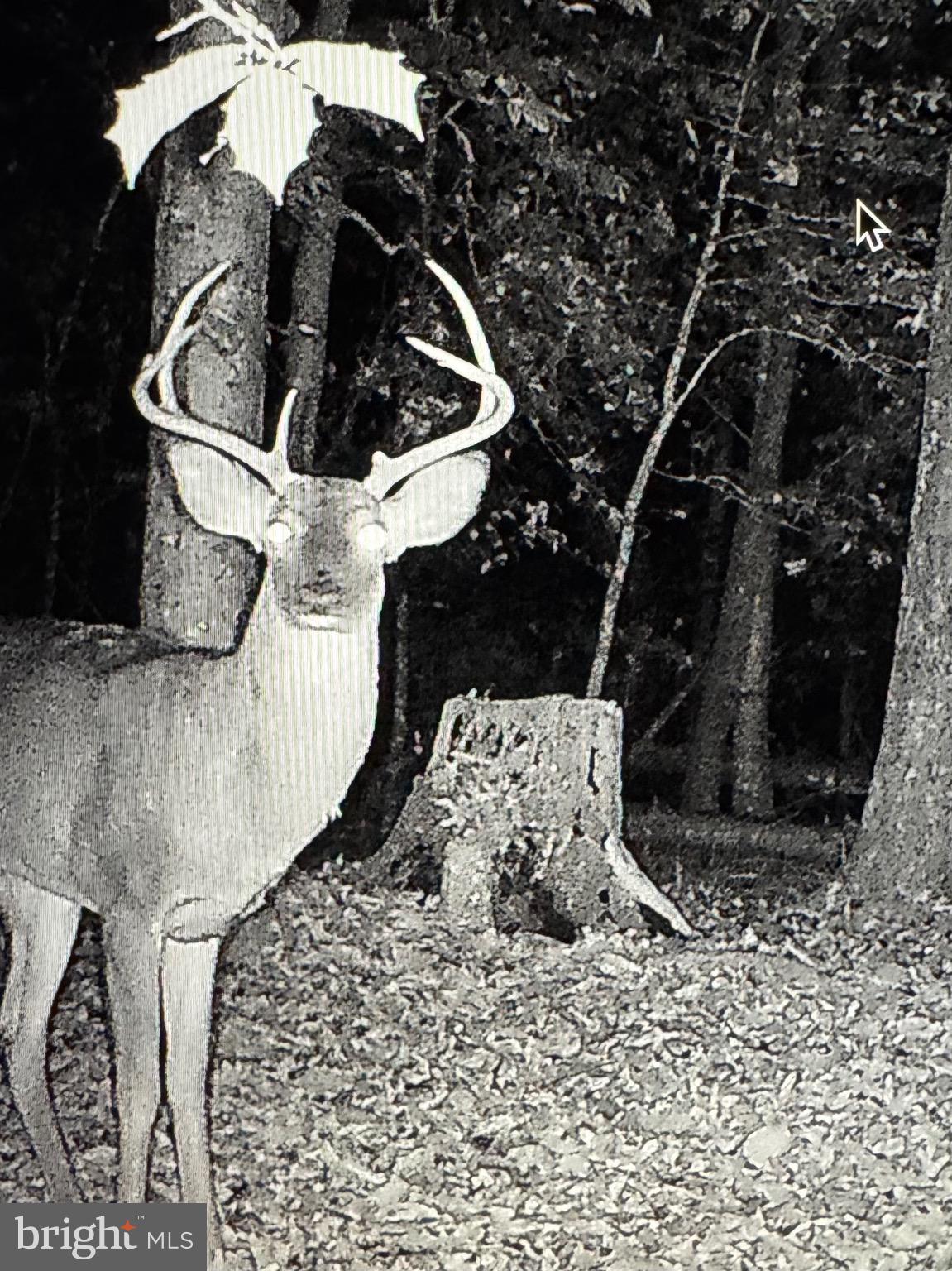 2555 Hancock Run Road Nanjemoy, MD 20662 - Photo 22 of 24 a view of entryway