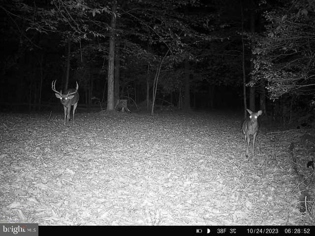 2555 Hancock Run Road Nanjemoy, MD 20662 - Photo 9 of 24 a view of outdoor space