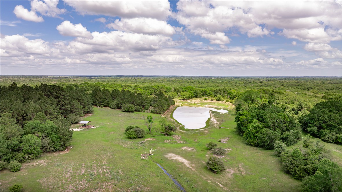 2199 Navasota Ridge Navasota, TX 77868 - Photo 3 of 30
