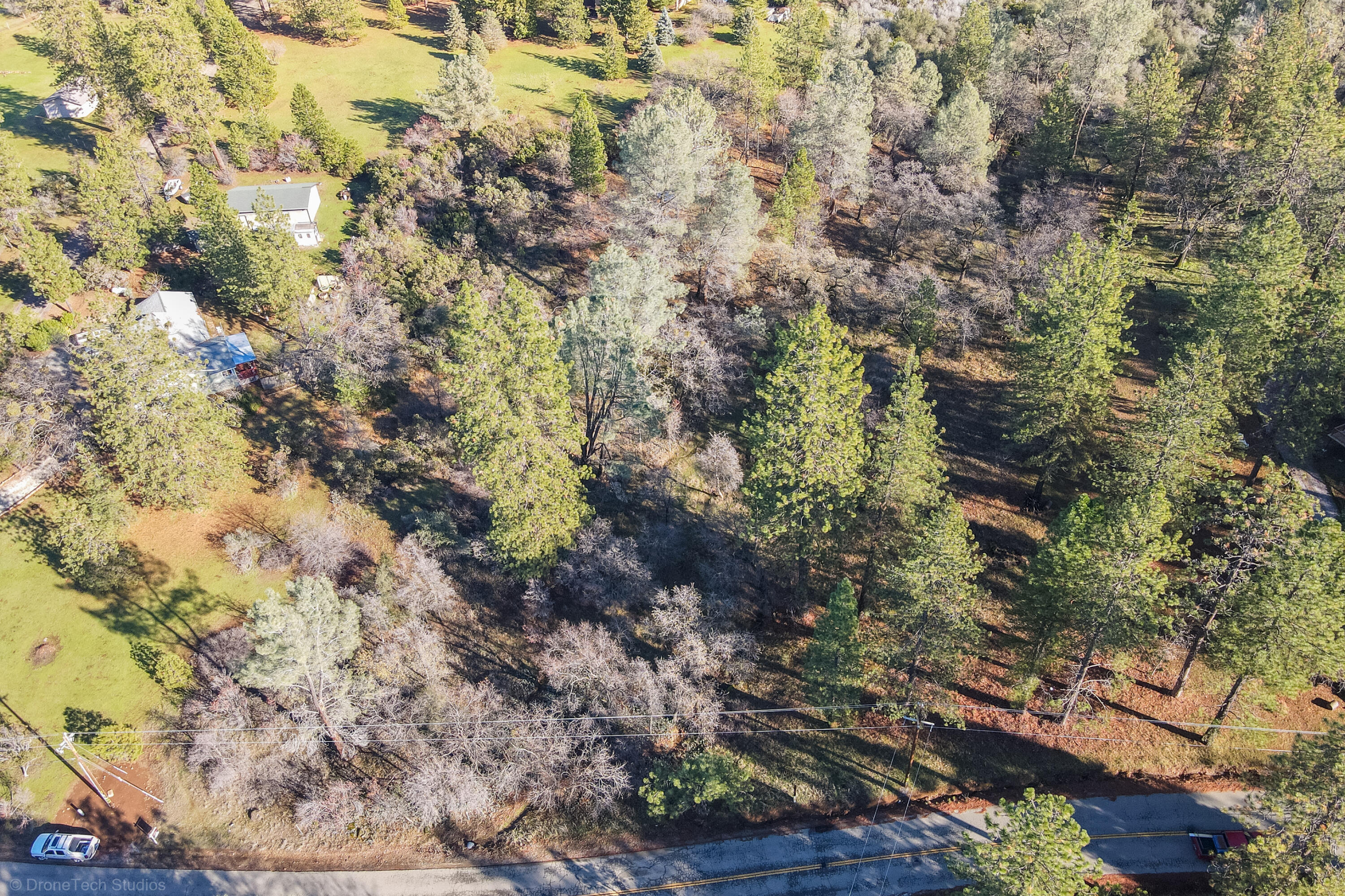 Lot 21 Black Butte Road Shingletown, CA 96088 - Photo 21 of 26 a view of a forest with a yard