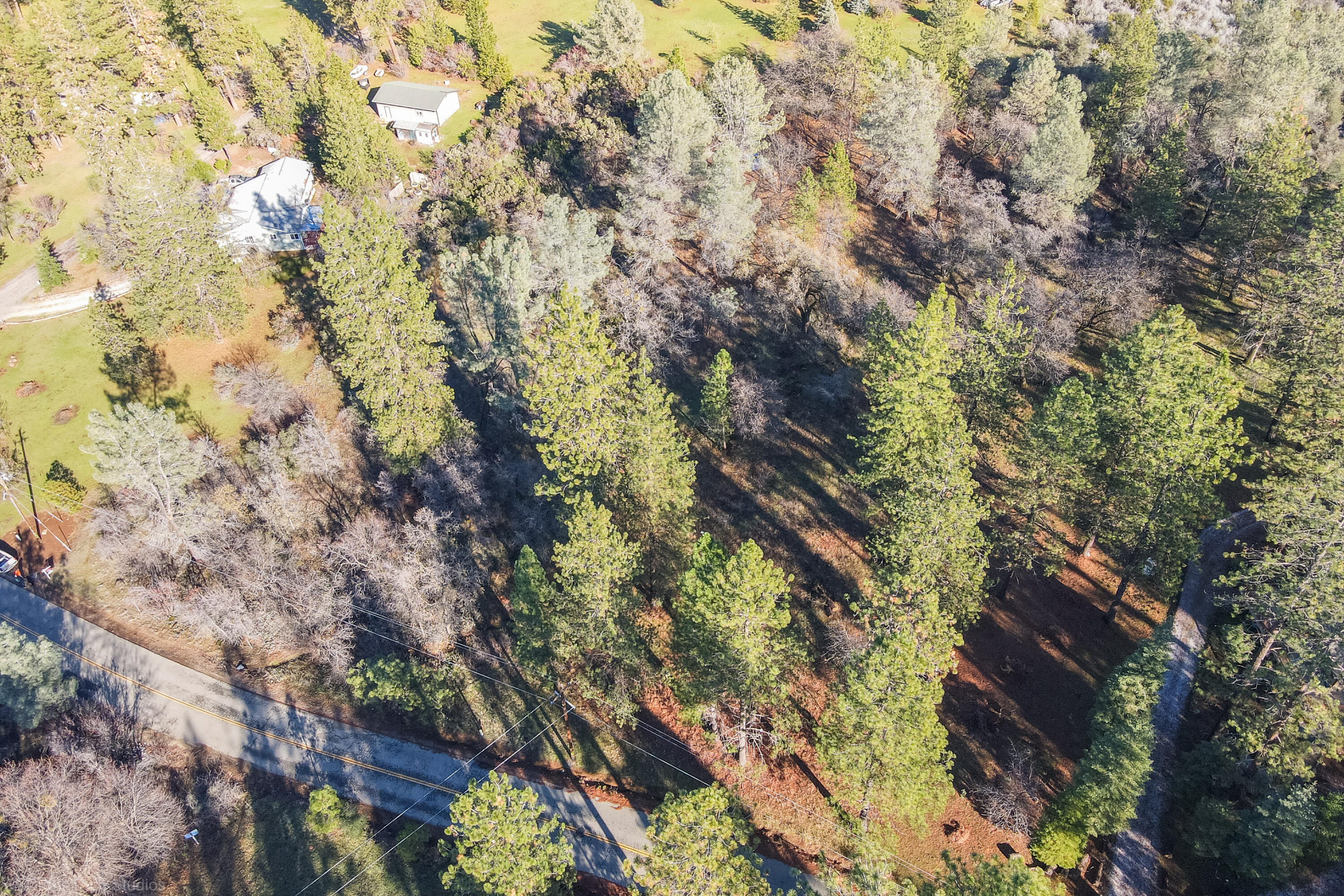 Lot 21 Black Butte Road Shingletown, CA 96088 - Photo 22 of 26