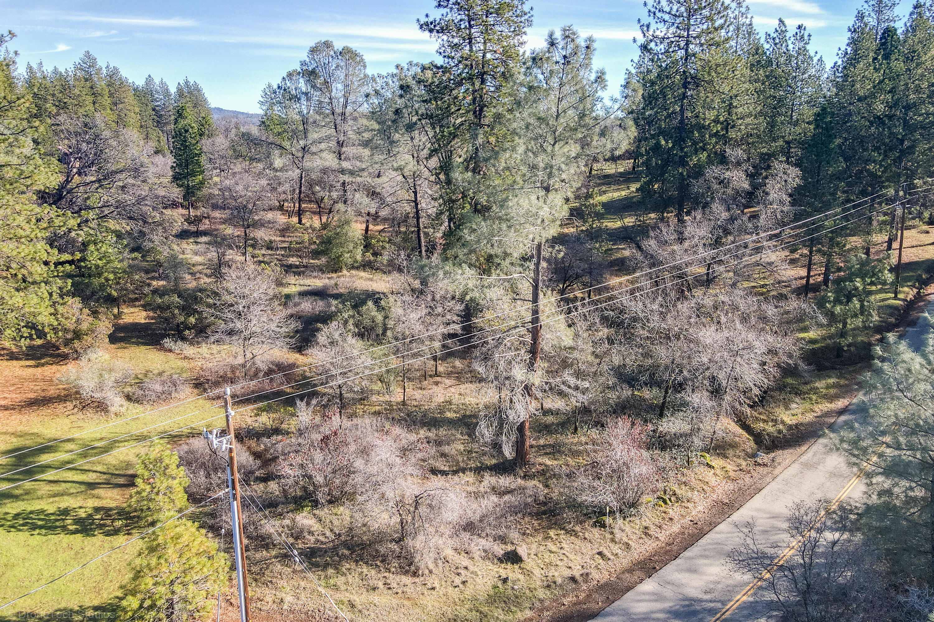 Lot 21 Black Butte Road Shingletown, CA 96088 - Photo 25 of 26 a view of a forest with trees