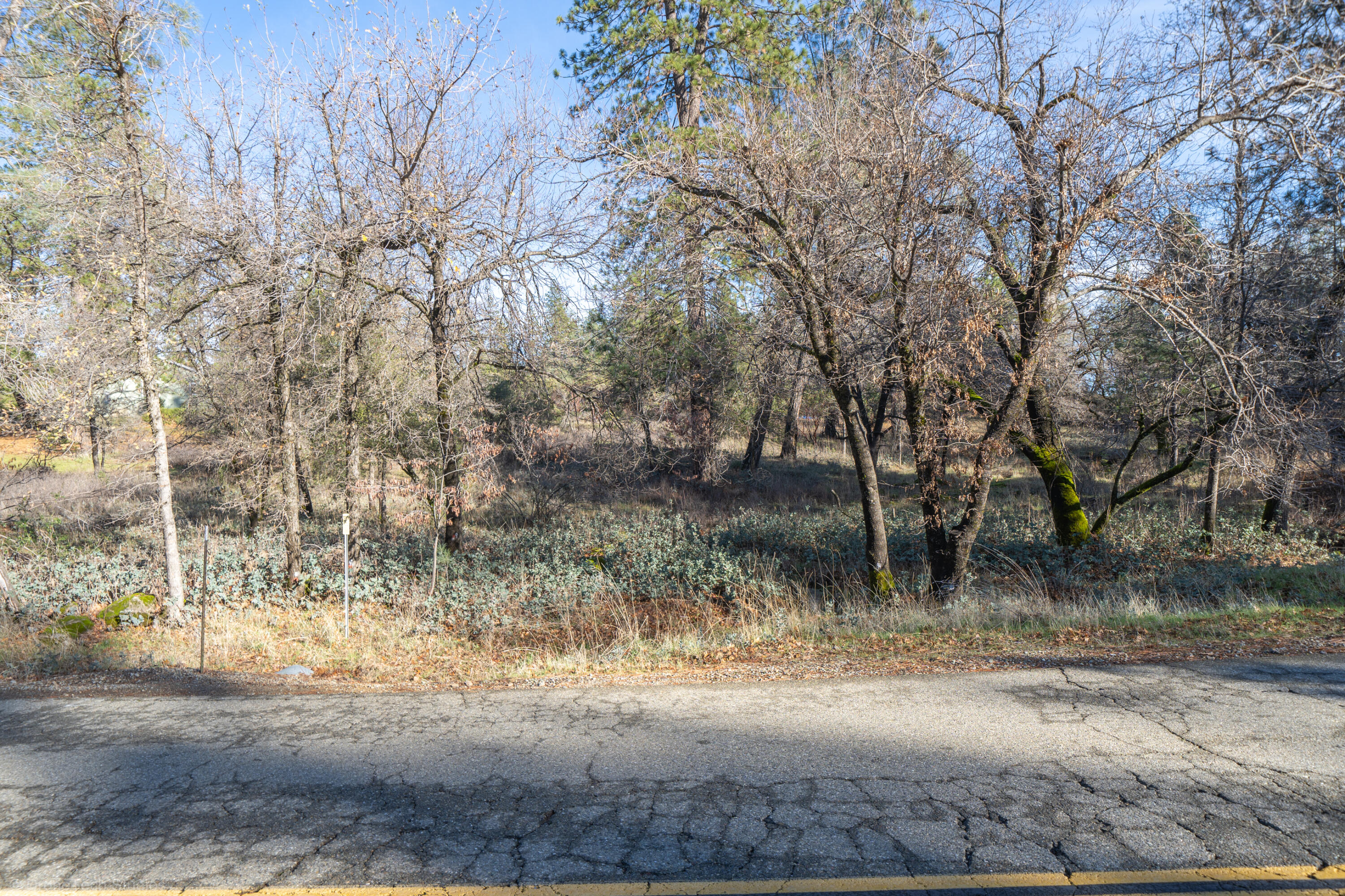 Lot 21 Black Butte Road Shingletown, CA 96088 - Photo 5 of 26 a view of a yard with a tree
