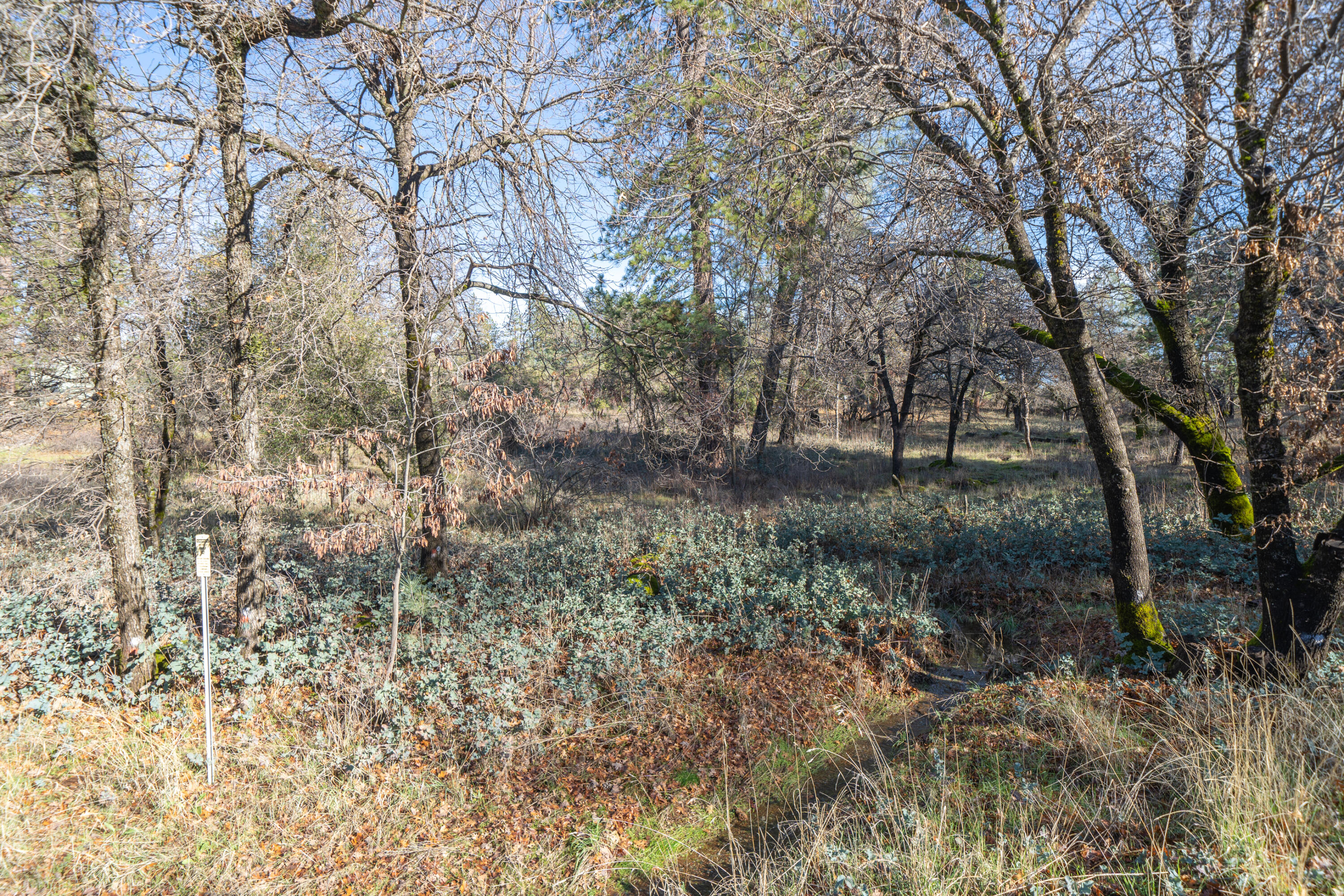 Lot 21 Black Butte Road Shingletown, CA 96088 - Photo 6 of 26 a big yard with lots of green space and plants