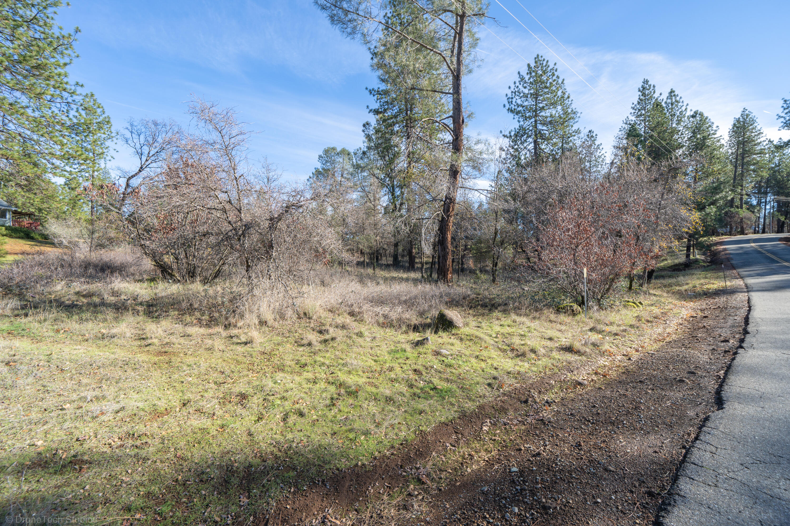 Lot 21 Black Butte Road Shingletown, CA 96088 - Photo 7 of 26 a view of a yard with trees in the background