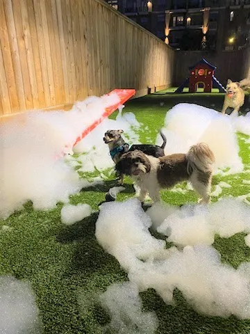 $2,268 | 160 Birdsall Street, Unit 1343, Houston, TX 77007