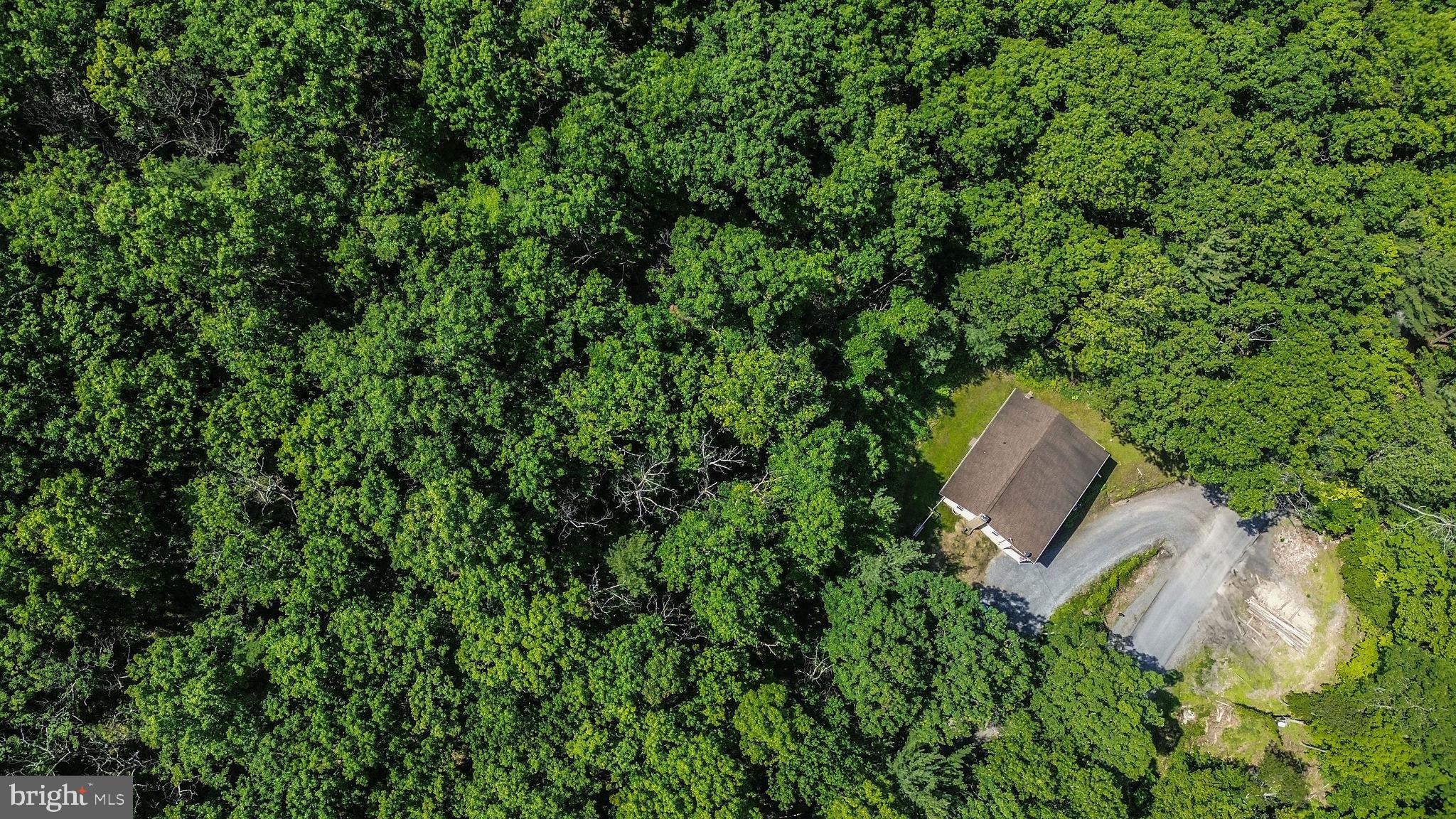 353 Jack Straw Road Julian, PA 16844 - Photo 39 of 40