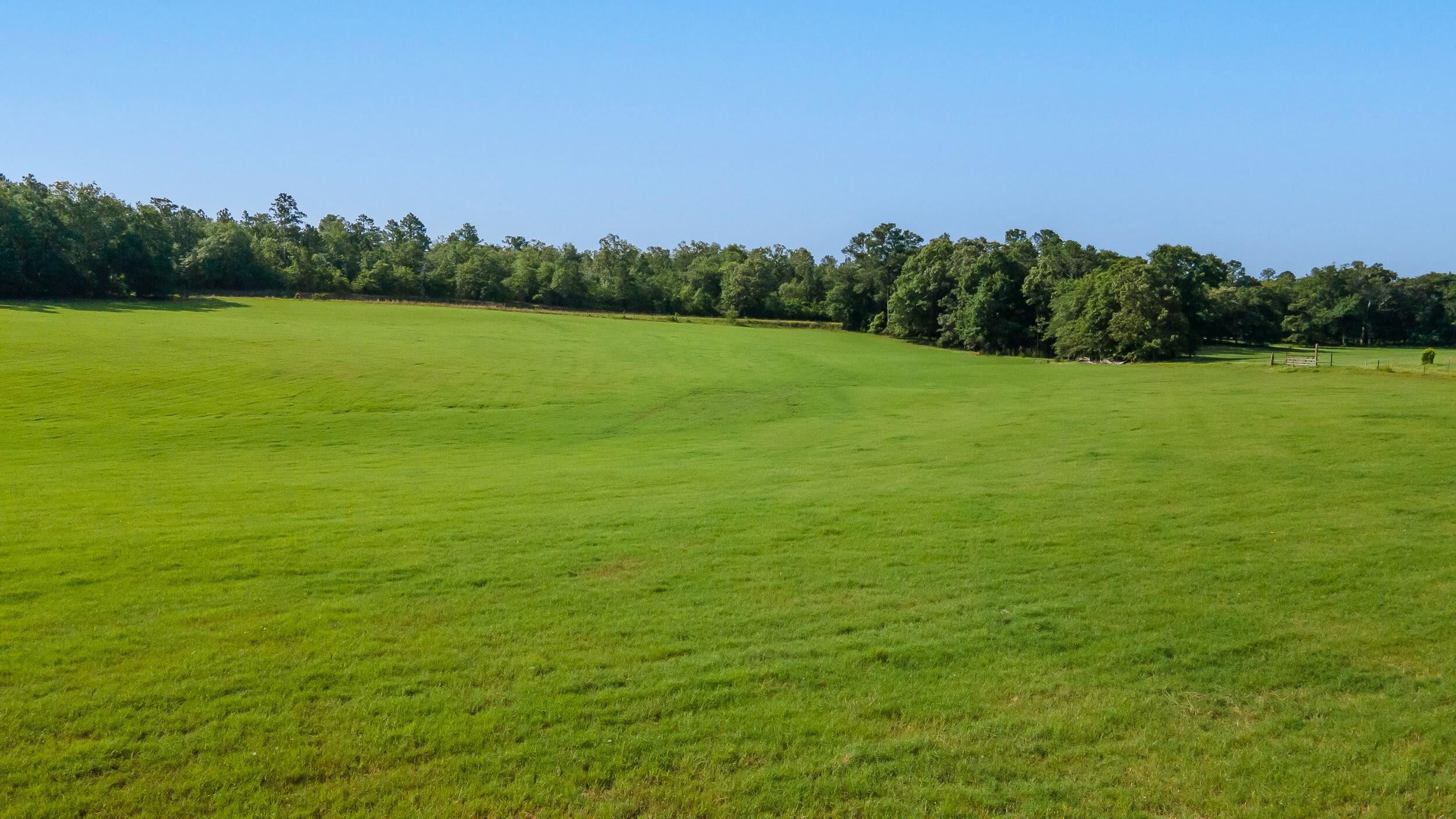 0 Cooks Bridge Road Aiken, SC 29801 - Photo 10 of 11