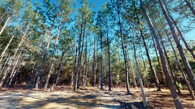 $298,786 | 1576 Pine Grove Road, Ruffin, SC 29475