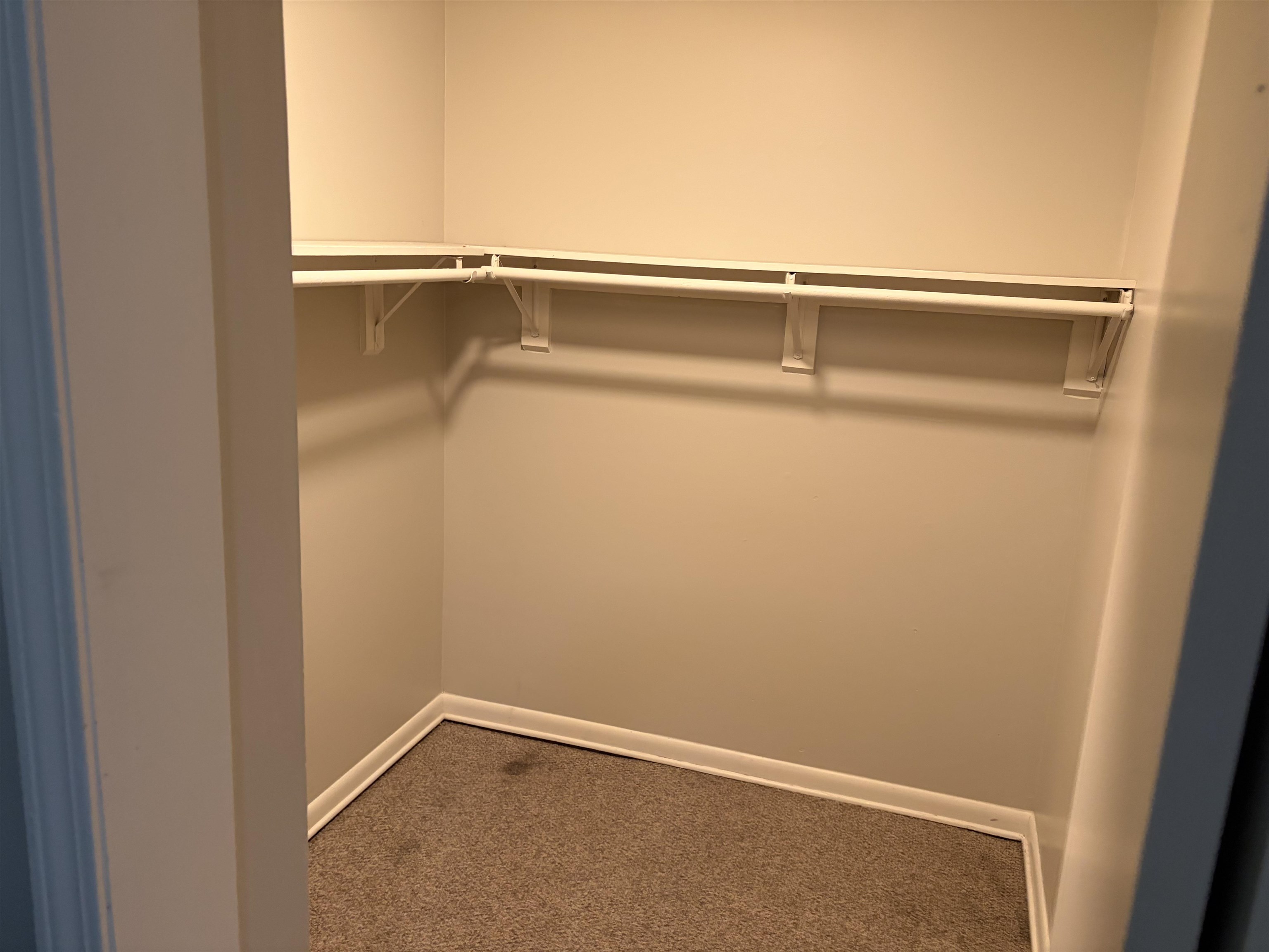 4928 Willow Road Memphis, TN 38117 - Photo 13 of 16 Walk in closet with dark carpet