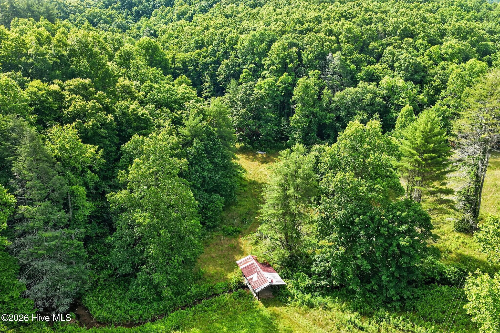 1881 Shoal Creek Road Murphy, NC 28906 - Photo 9 of 18