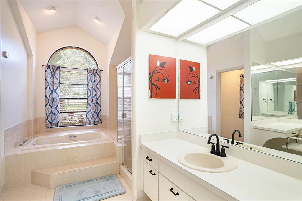 1619 Palace Court Valrico, FL 33594 - Photo 17 of 32 a bathroom with a tub sink and mirror