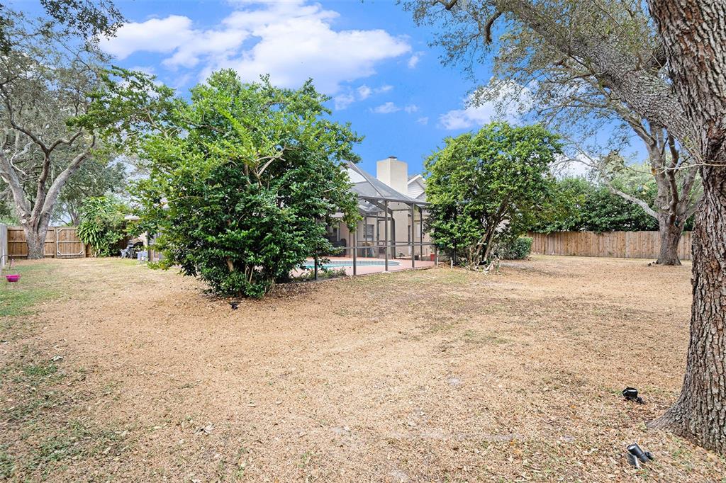 1619 Palace Court Valrico, FL 33594 - Photo 30 of 32 a view of a yard with plants and trees