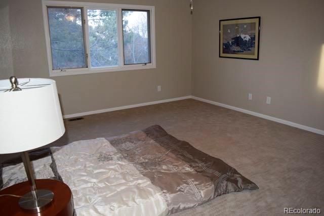 11282 Ranch Place Westminster, CO 80234 - Photo 22 of 34 Gallery Image 22