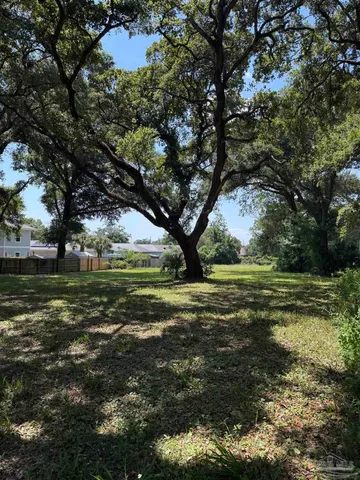 a view of a field with large trees