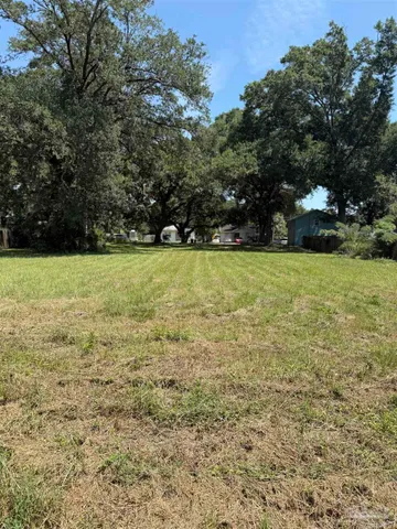 a view of a field with trees in the background