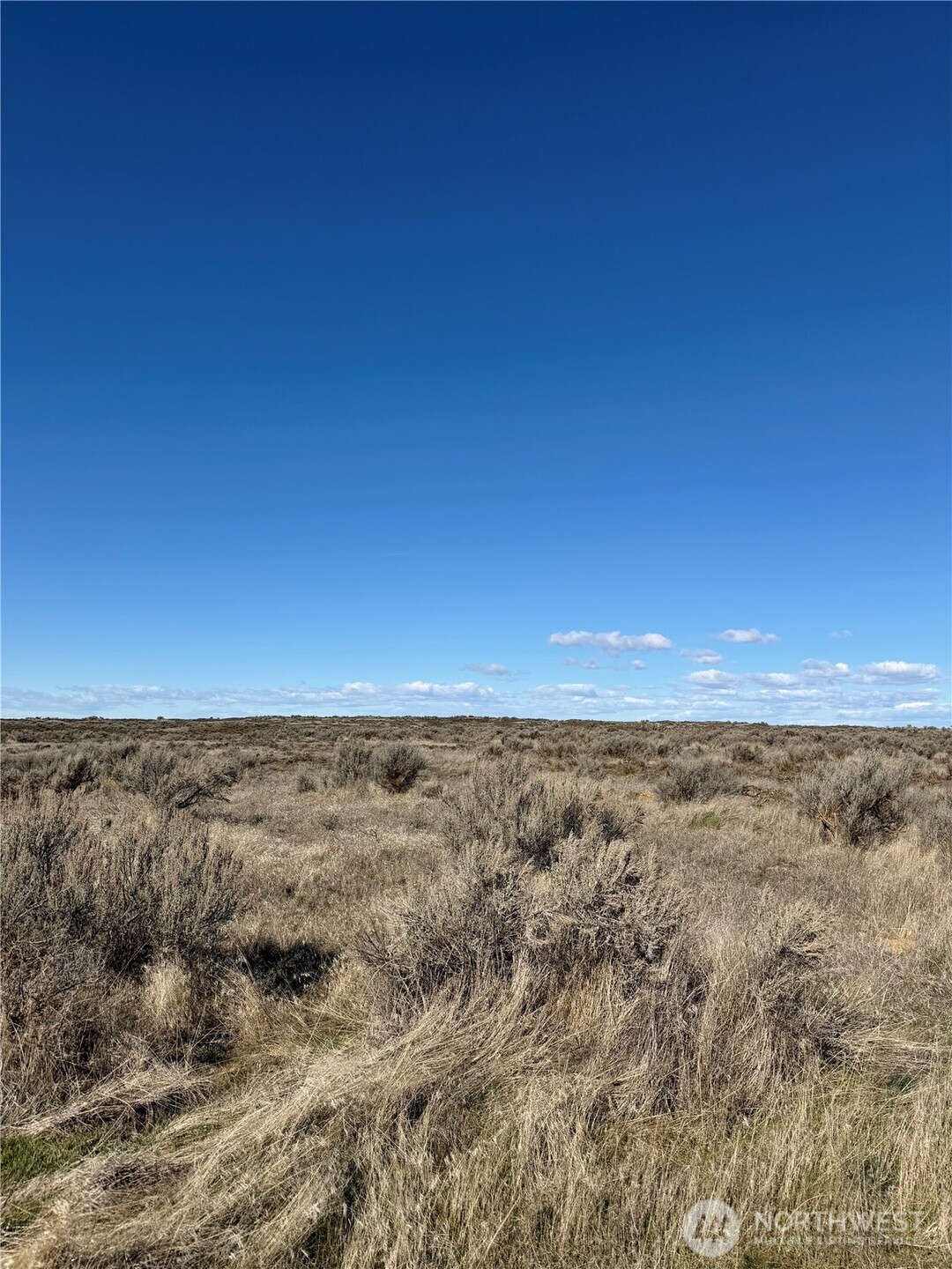 225 Eagle Springs Ranch Moses Lake, WA 98837 - Photo 3 of 8