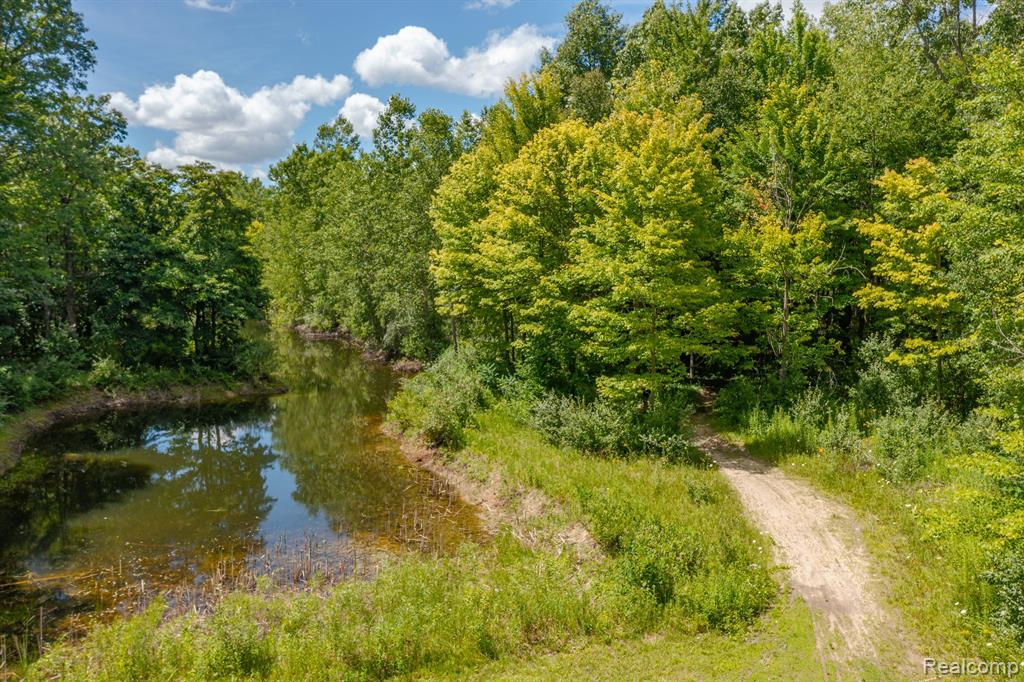 7335 Johnson Road Flushing, MI 48433 - Photo 36 of 44