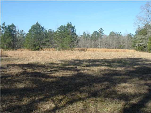 0 Log Cabin Road Bonneau, SC 29431 - Photo 2 of 4 Additional Photo