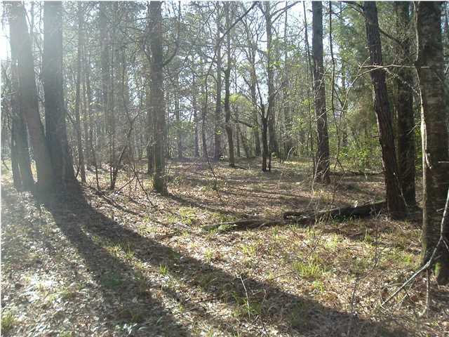 0 Log Cabin Road Bonneau, SC 29431 - Photo 3 of 4 Additional Photo