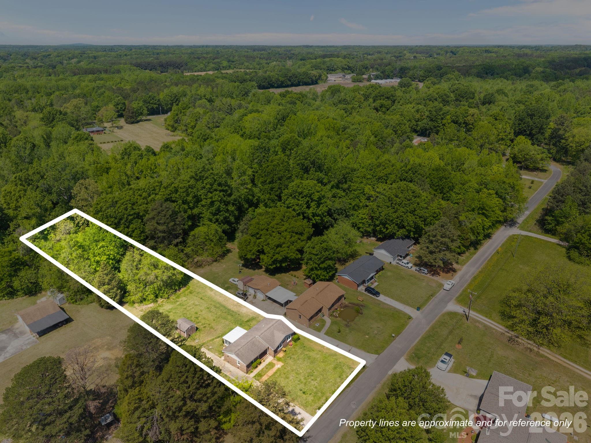 165 Hawkins Loop Salisbury, NC 28144 - Photo 8 of 48