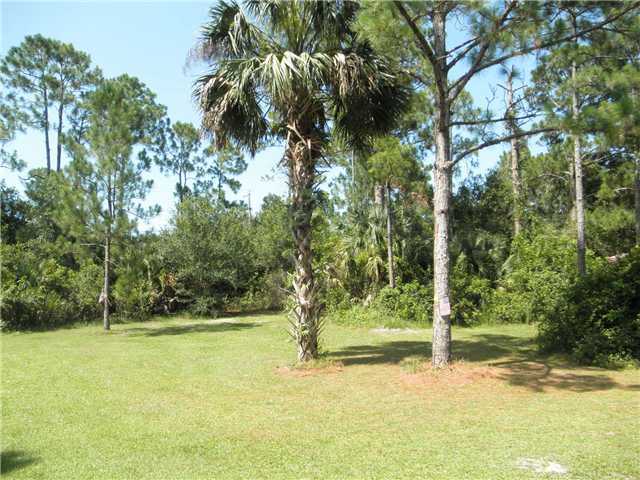 11388 175th Road North Jupiter, FL 33478 - Photo 3 of 14 Additional Photo