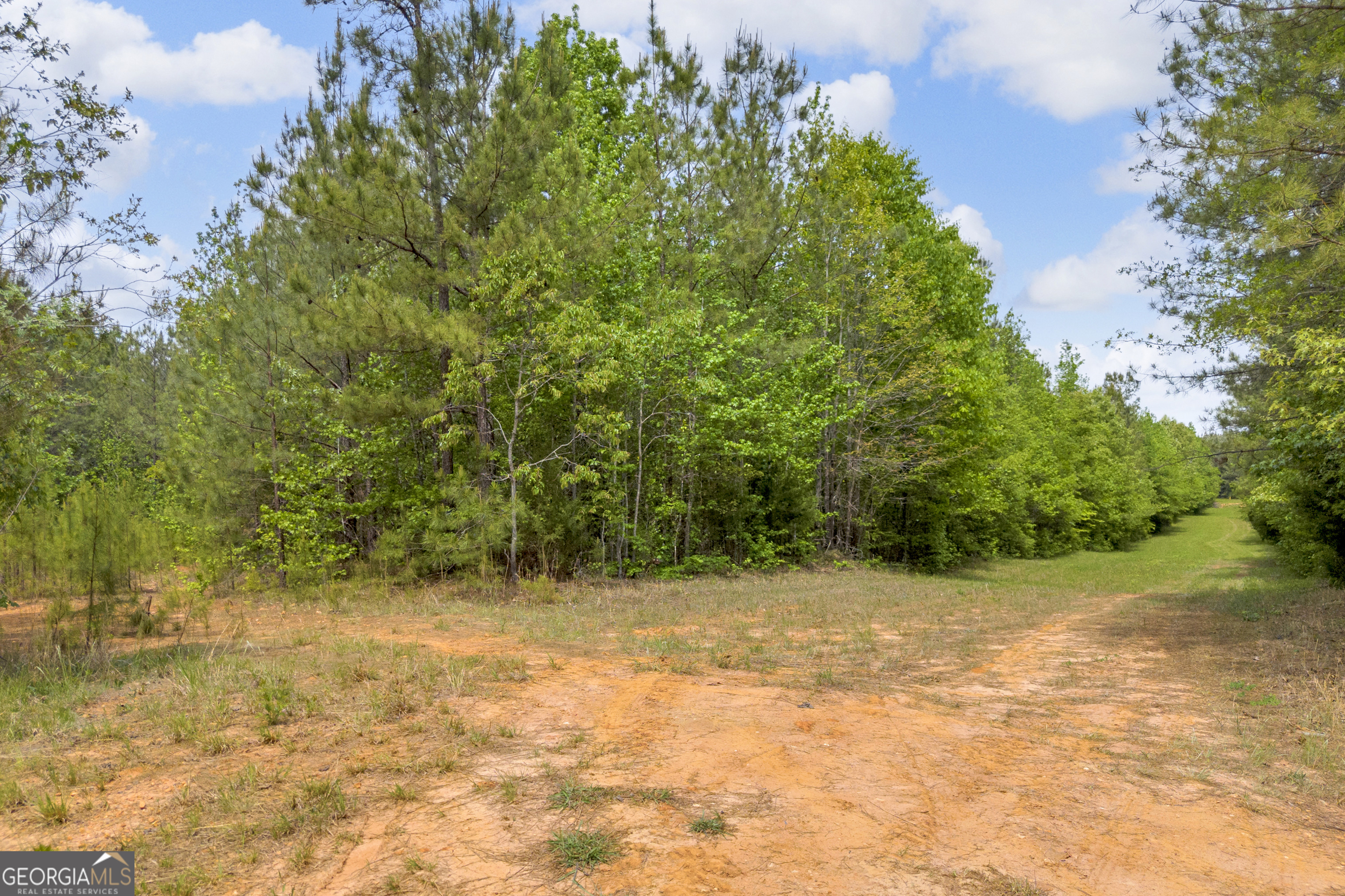 0 Upper Mill Road Northeast Crawfordville, GA 30631 - Photo 27 of 29 a view of backyard with green space