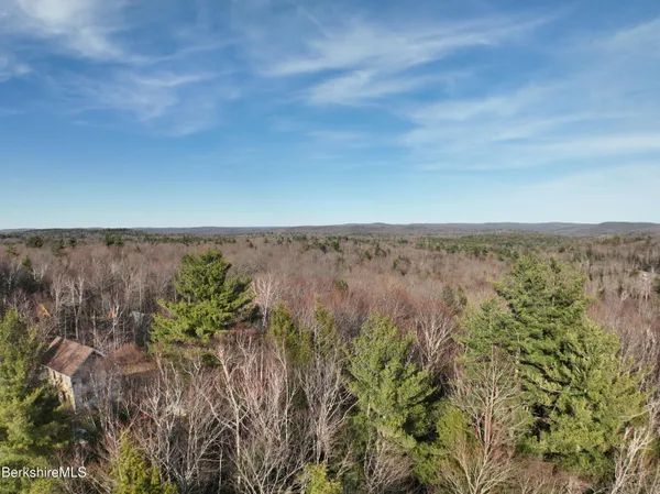 an aerial view of mountain with trees