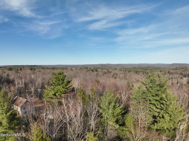 an aerial view of mountain with trees