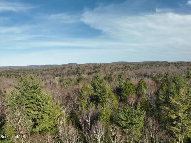 a view of a field of mountains and valleys