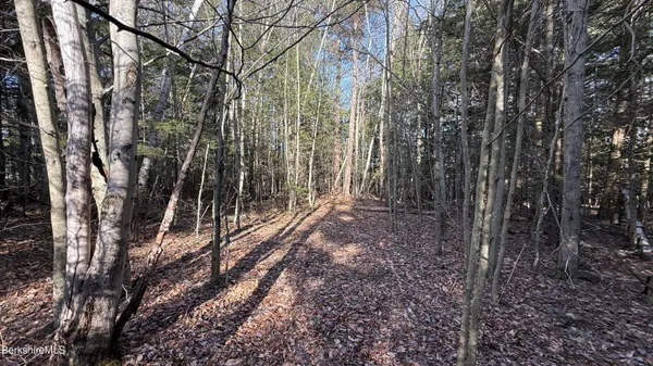 $19,900 | Lot 26 Stony Brook, Becket, MA 01223