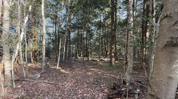 $19,900 | Lot 26 Stony Brook, Becket, MA 01223